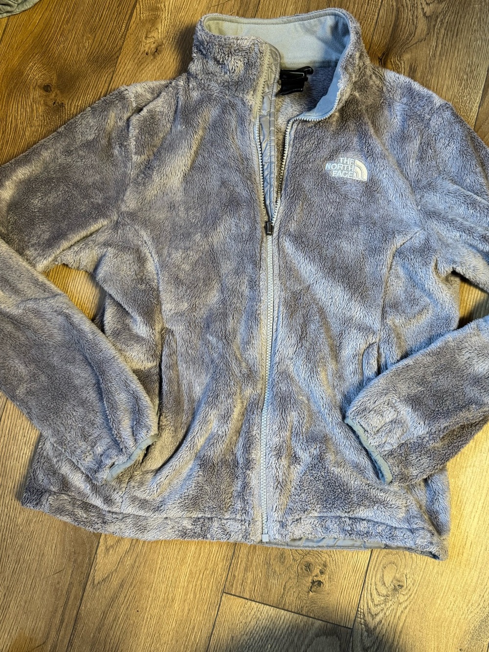 The North Face Plush Fleece Jacket in Light Gray